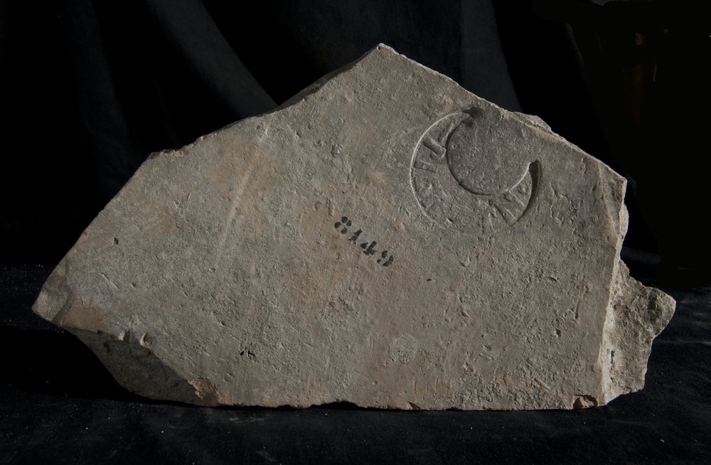 Inv. 8149.TIF