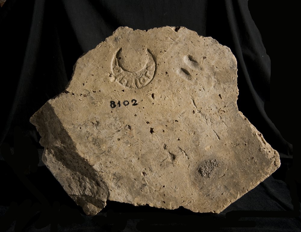 Inv. 8102.TIF