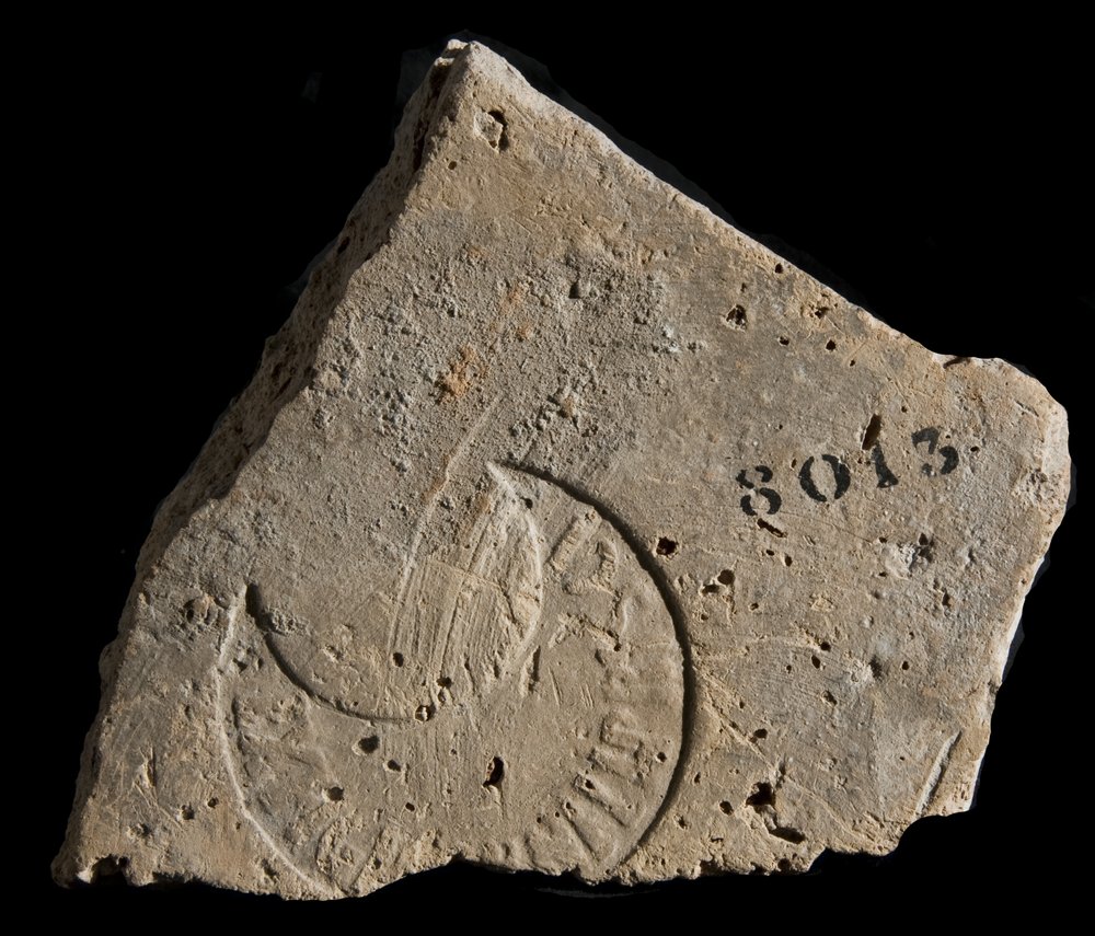 Inv. 8013.TIF