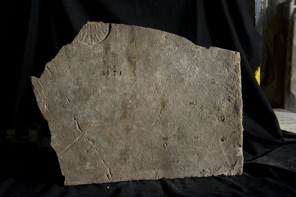 Inv. 8171.TIF