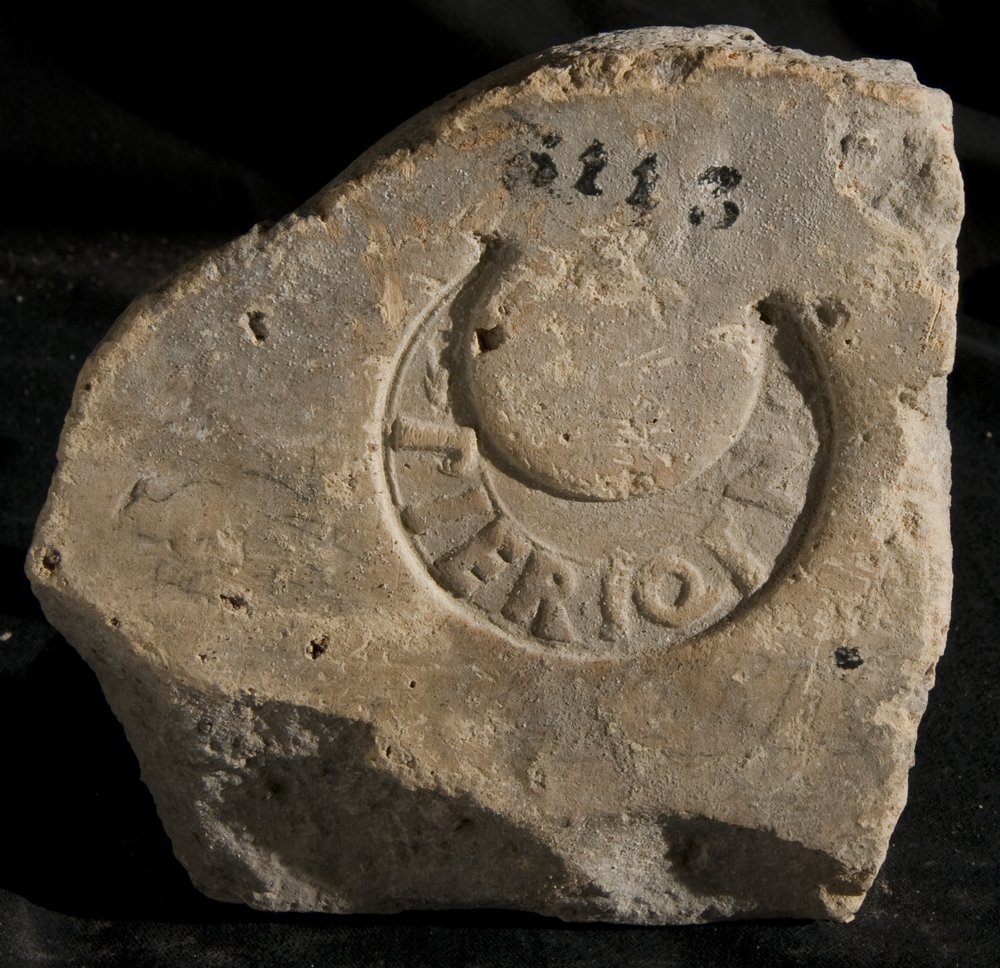 Inv. 8113.TIF