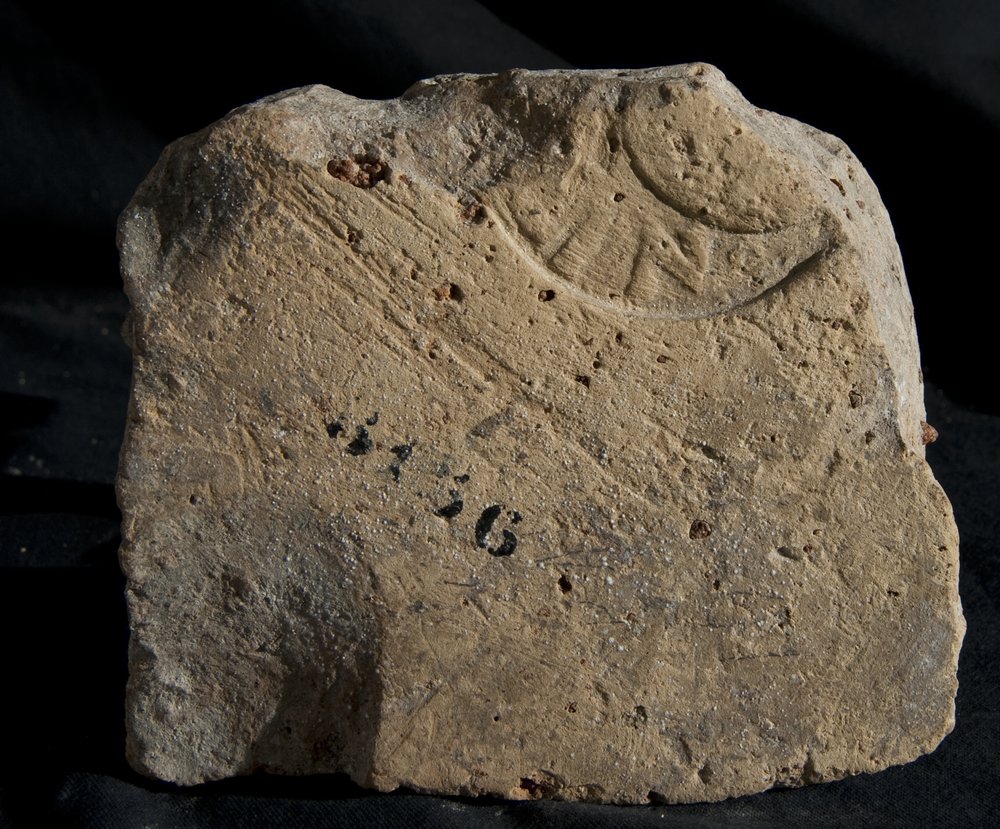 Inv. 8156.TIF
