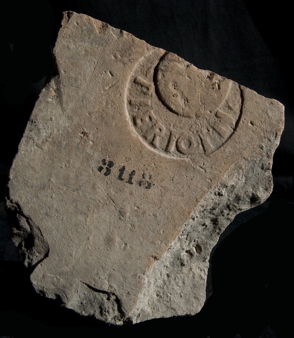 Inv. 8118.TIF