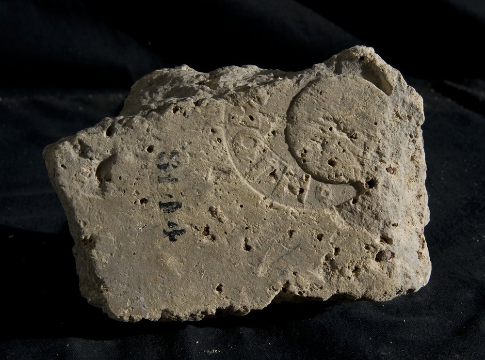 Inv. 8144.TIF