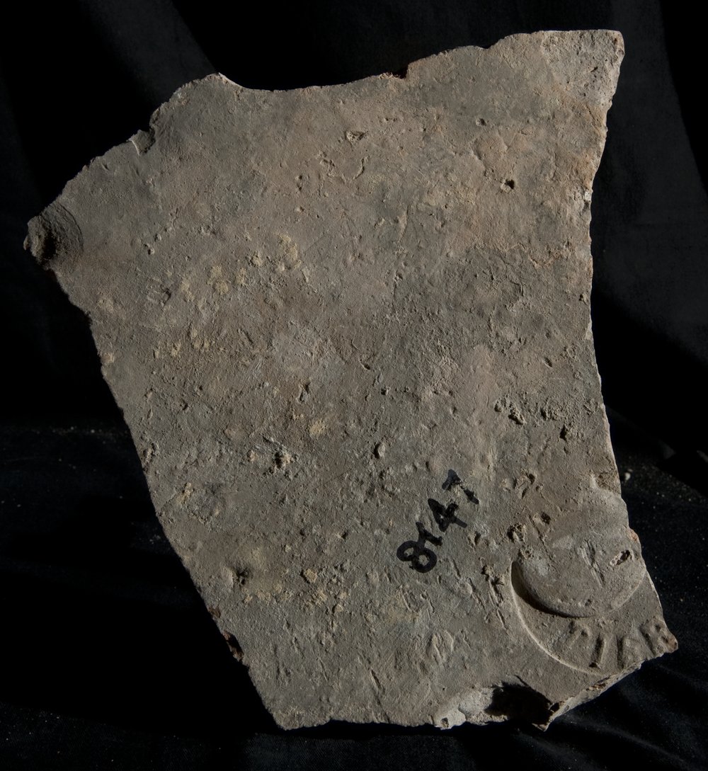 Inv. 8147.TIF