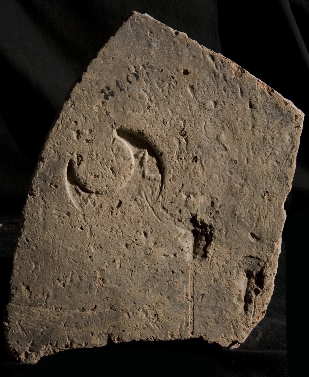 Inv. 8105.TIF