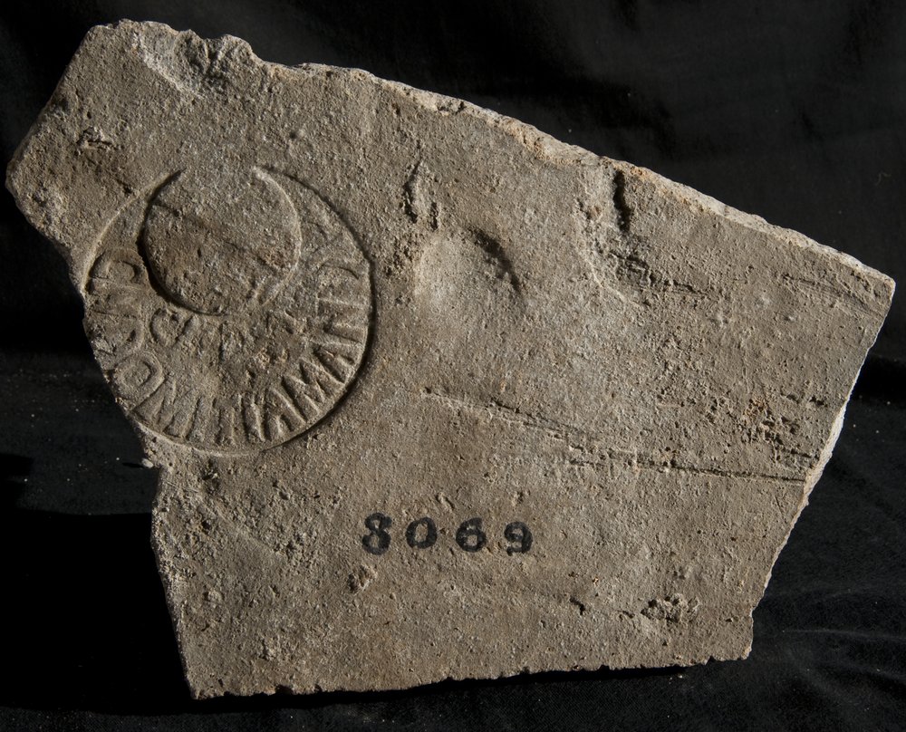 Inv. 8069.TIF