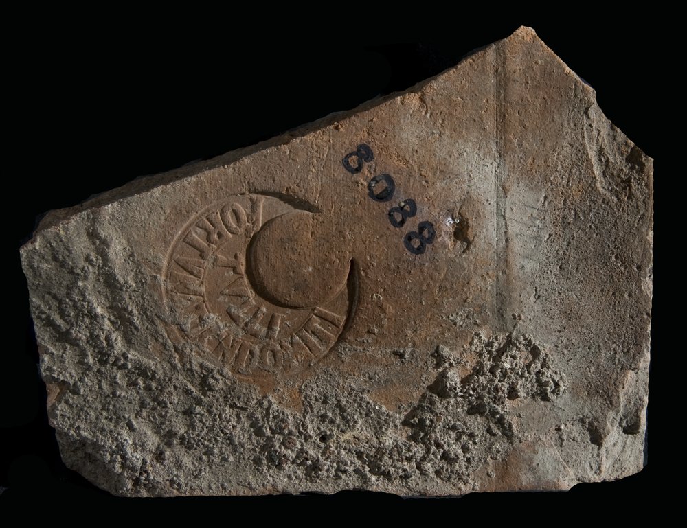 Inv. 8088.TIF