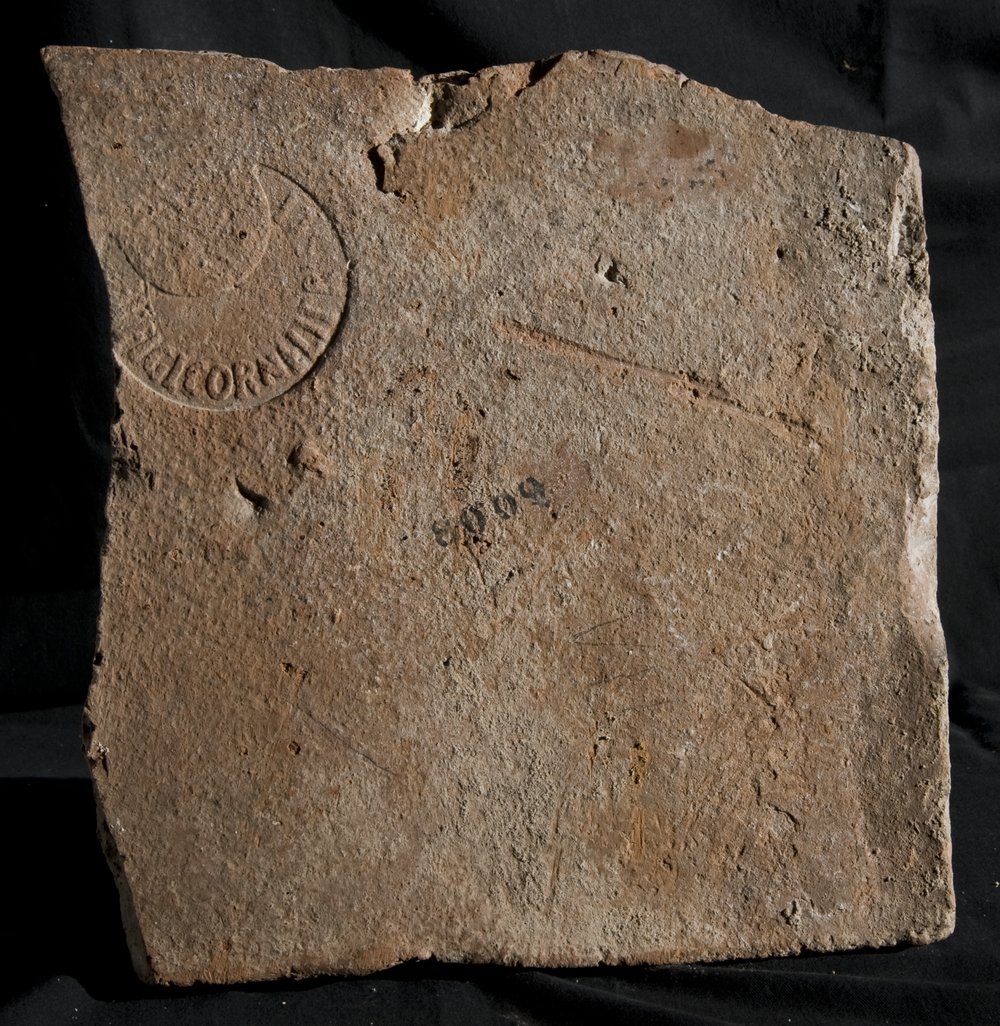 Inv. 8009.TIF