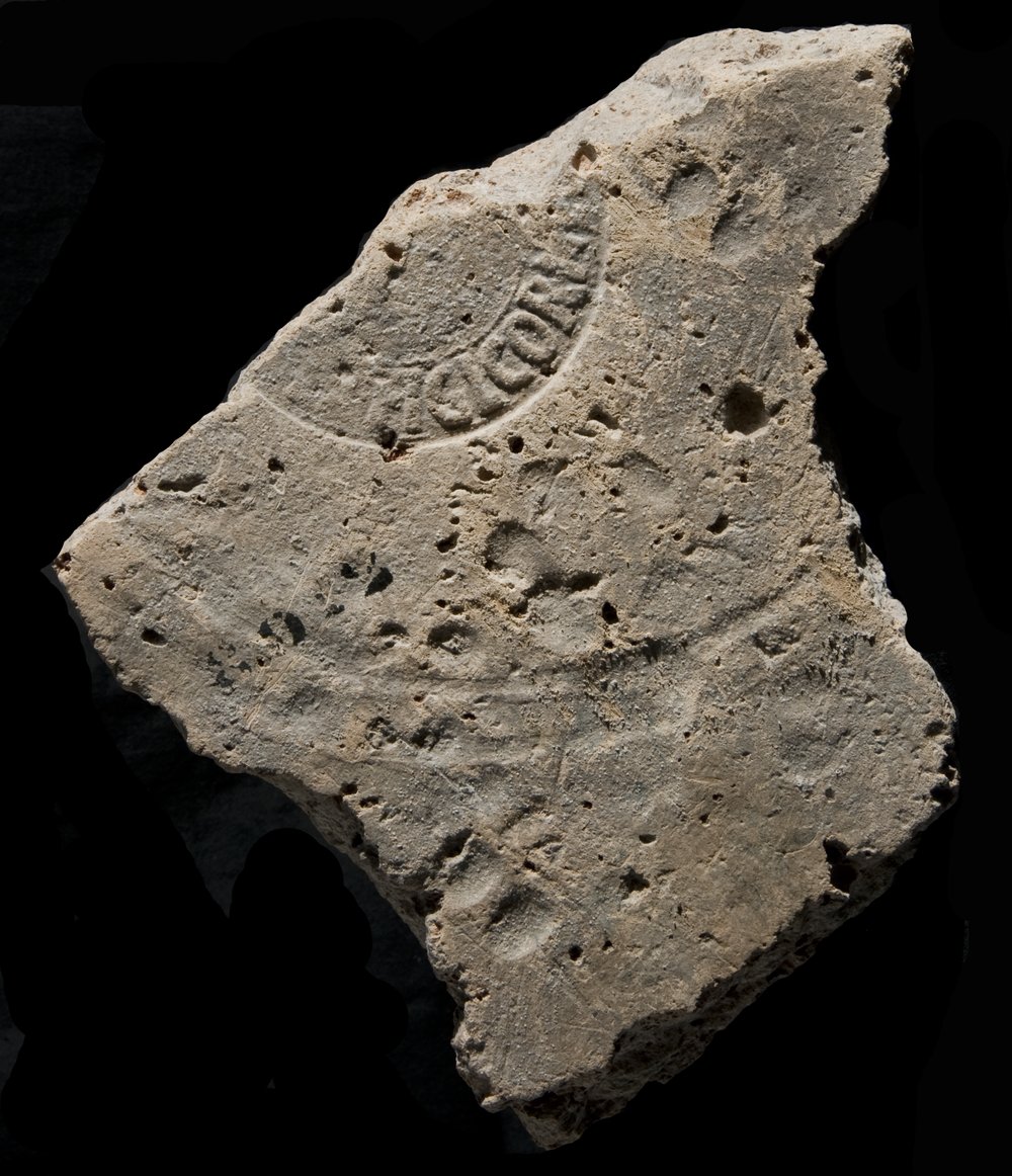Inv. 8012.TIF