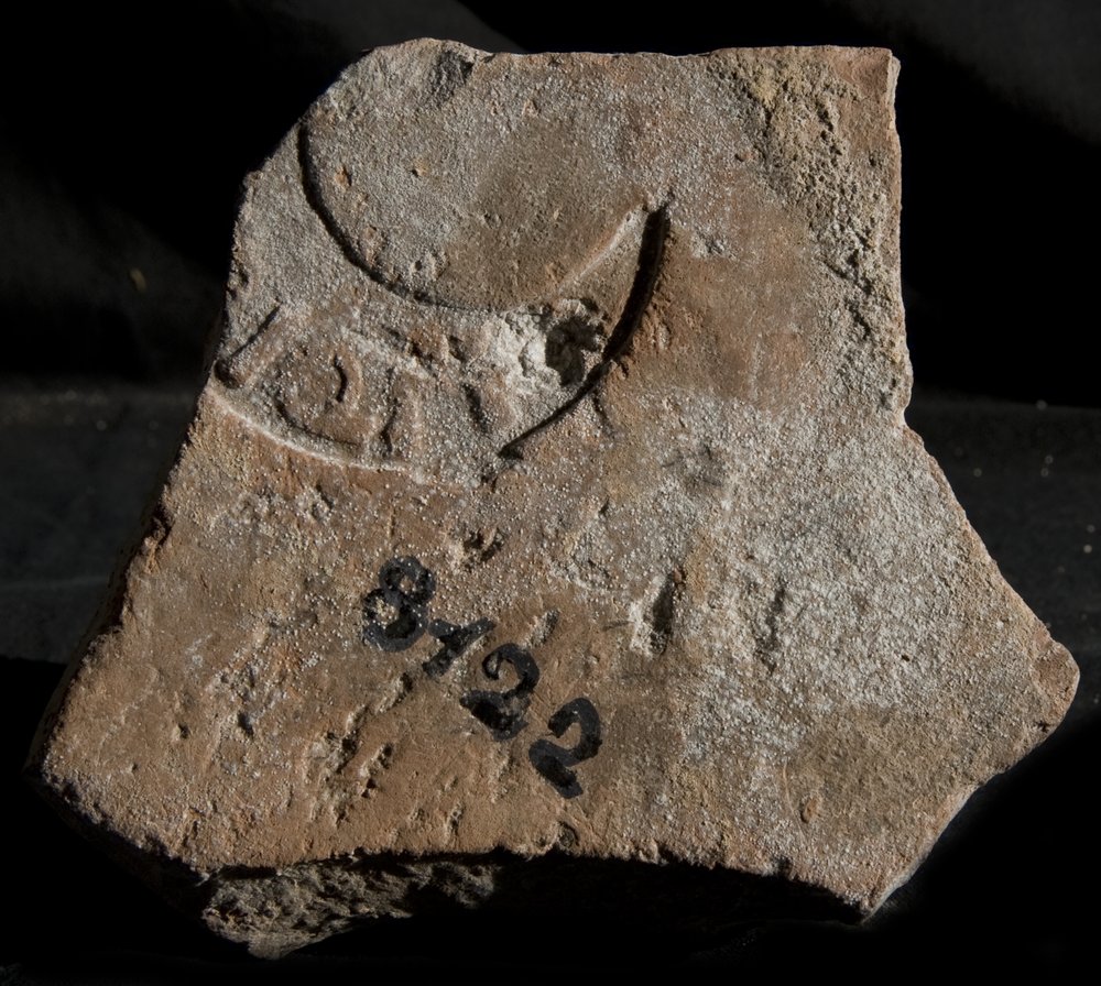 Inv. 8122.TIF