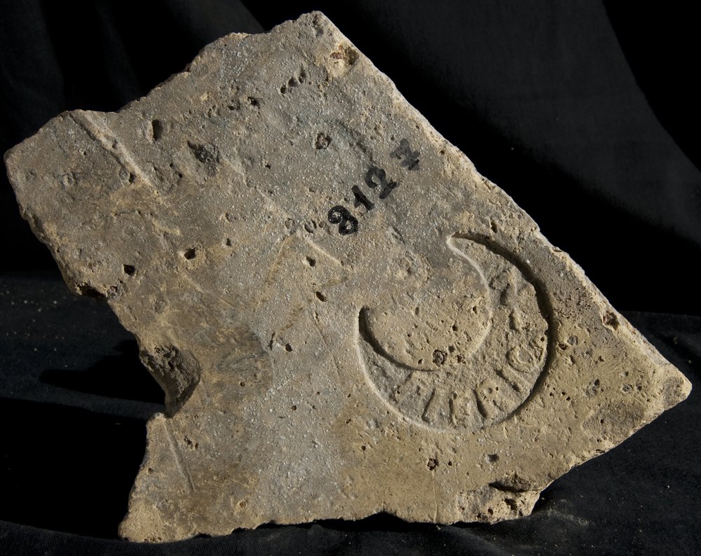 Inv. 8127.TIF