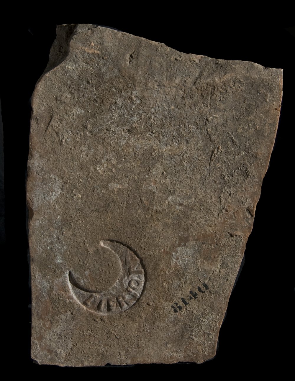 Inv. 8140.TIF