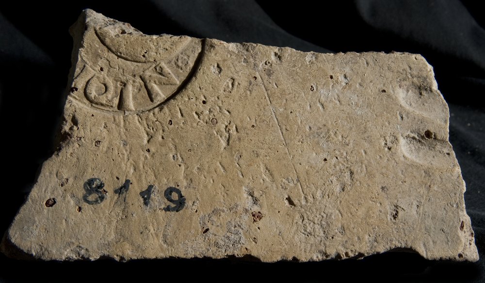 Inv. 8119.TIF