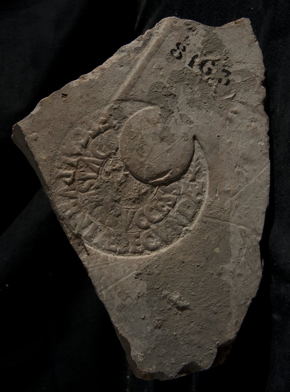 Inv. 8163.TIF
