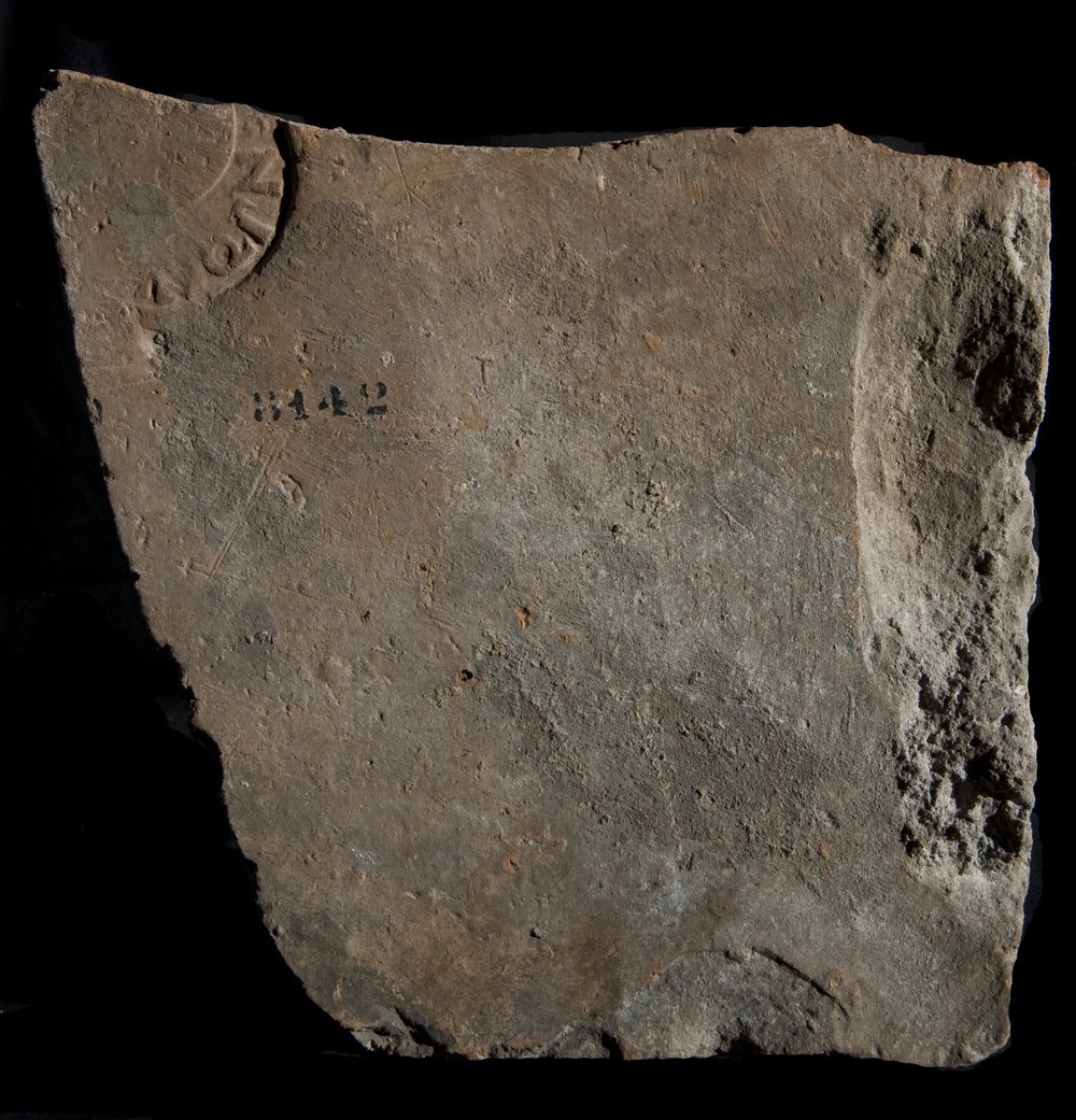 Inv. 8142.TIF