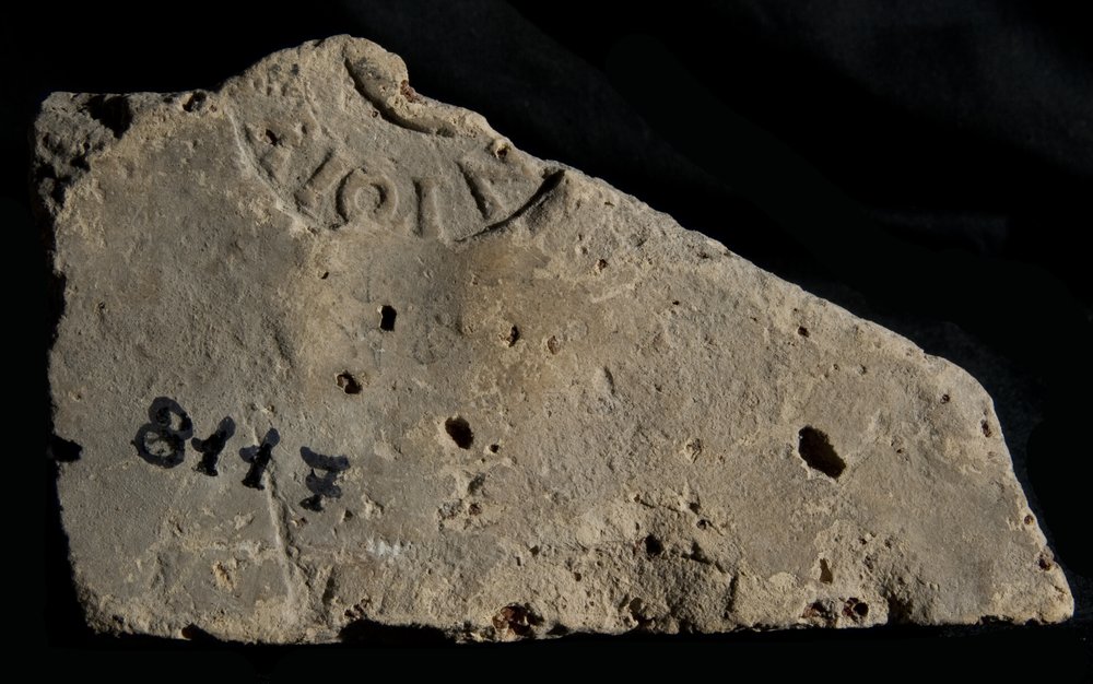 Inv. 8117.TIF