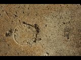 DSC_2127.NEF