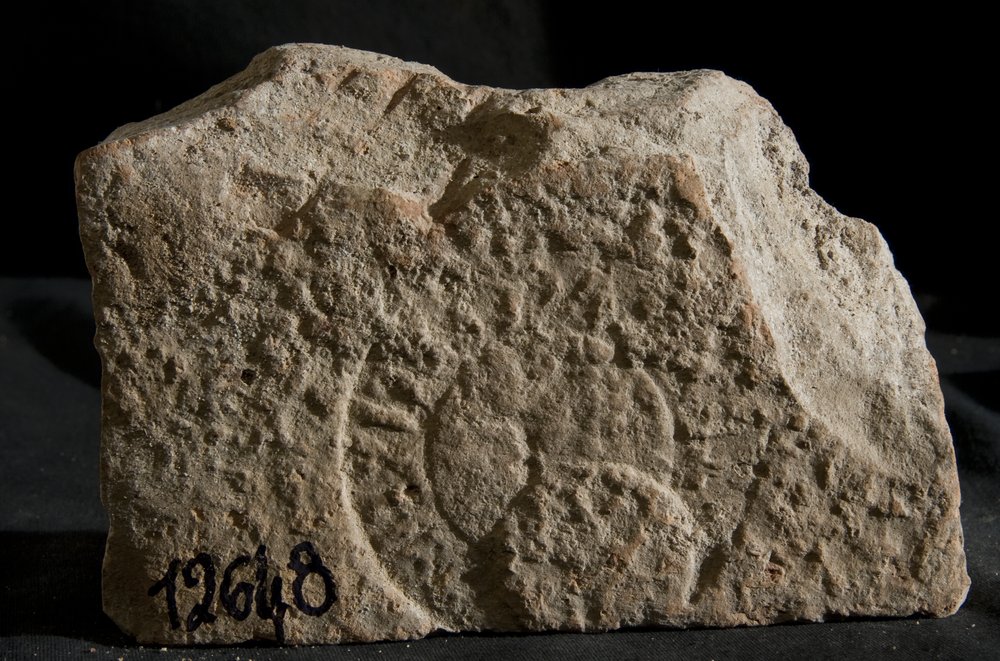 Inv.12648.TIF