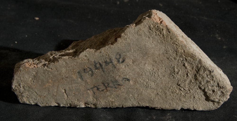 Inv. 19448.TIF