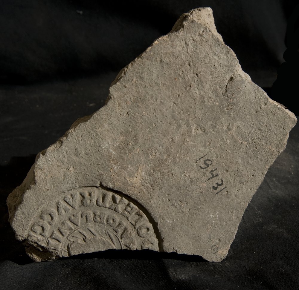 Inv. 19431.TIF