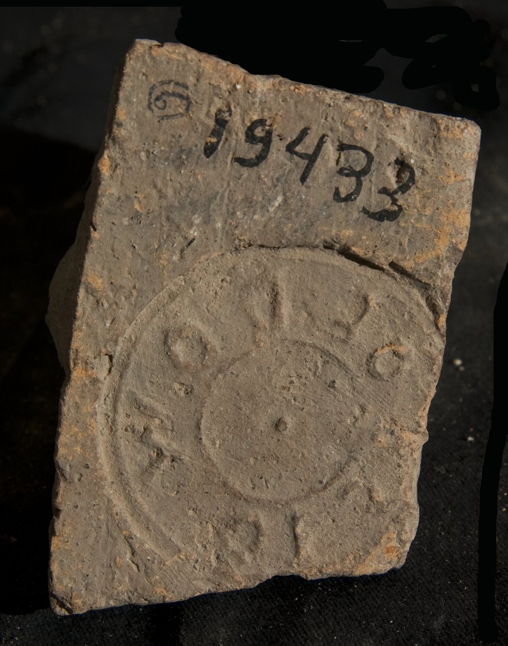 Inv. 19433.TIF