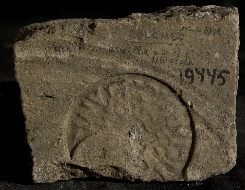 Inv. 19445.TIF