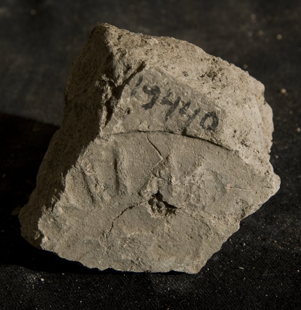 Inv. 19440.TIF
