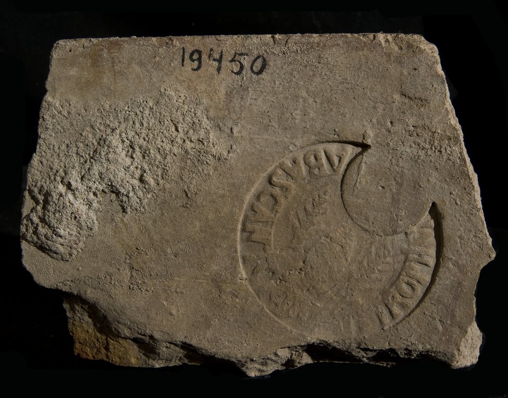 Inv. 19450 (2).TIF