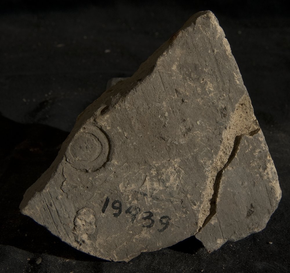 Inv. 19439.TIF
