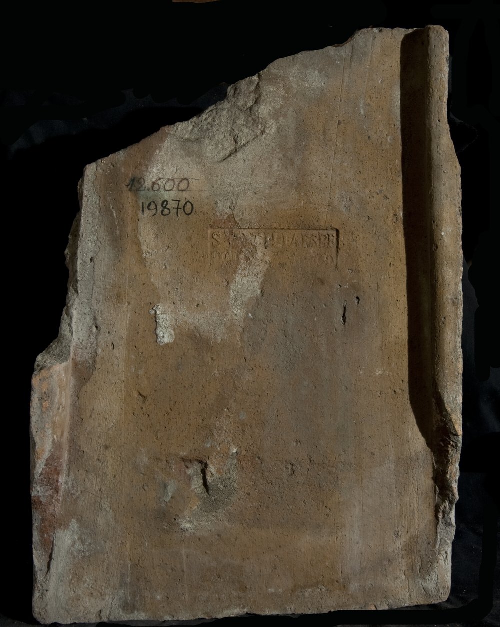 Inv. 19870.TIF