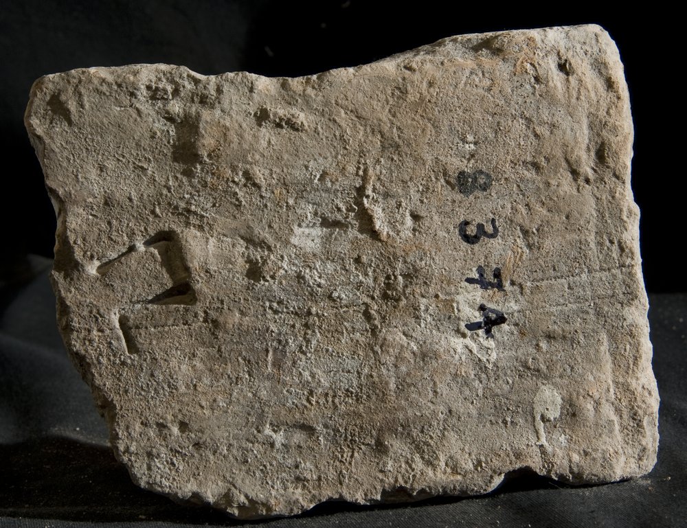 Inv. 8374.TIF