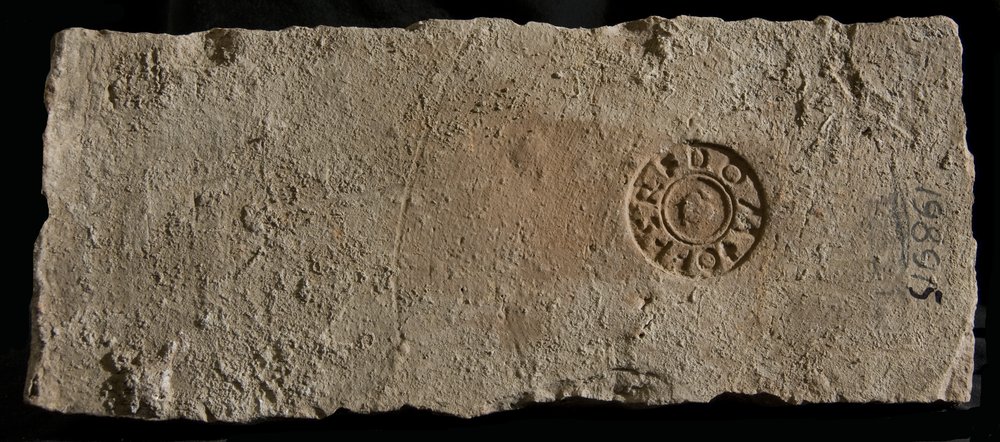 Inv. 198915.TIF