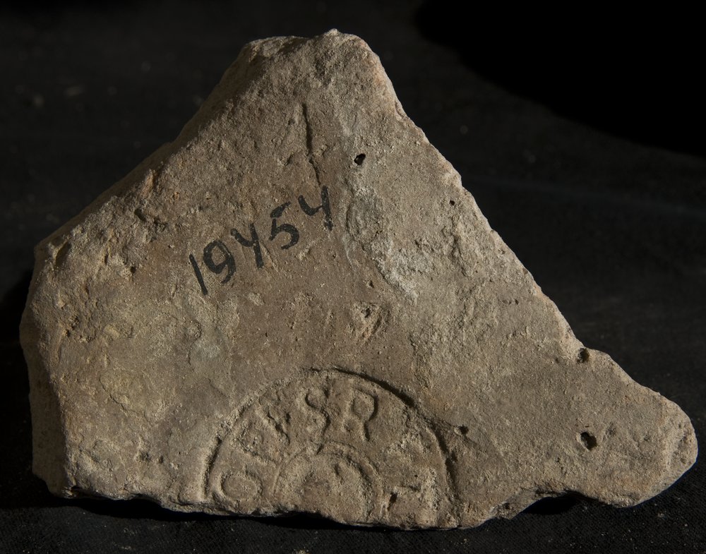 Inv. 19454.TIF