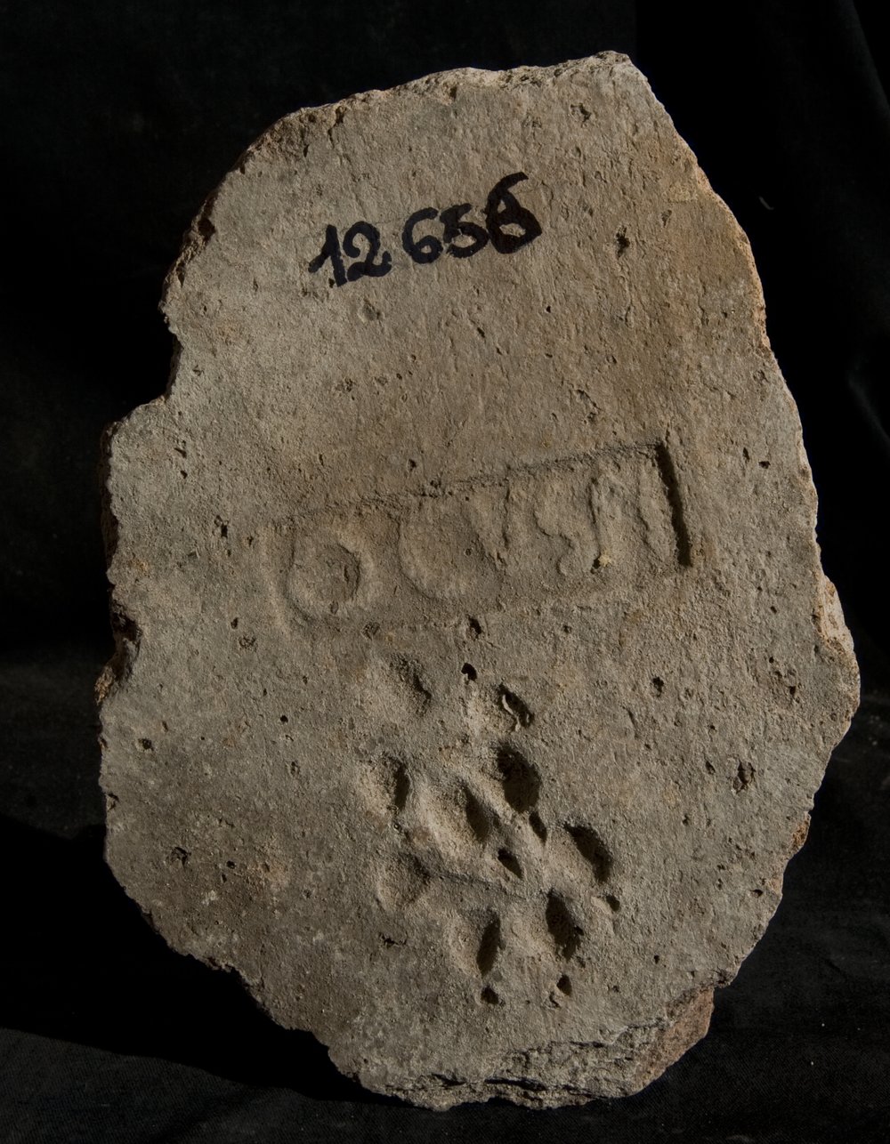 Inv. 12656.TIF