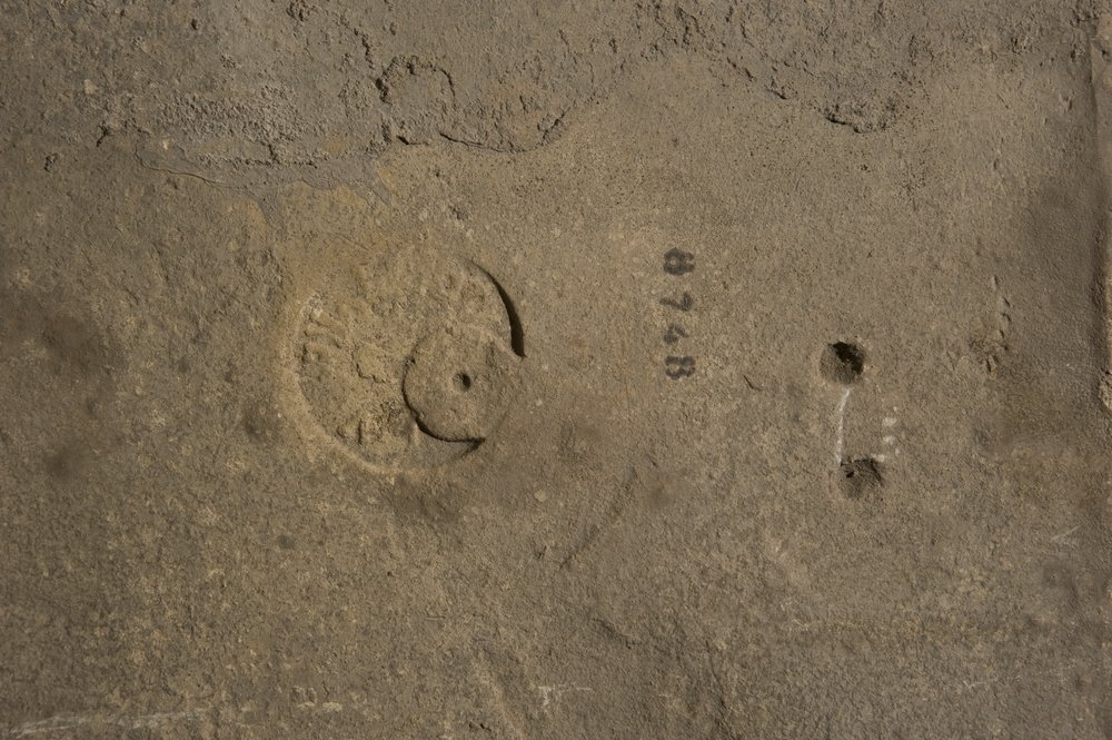 Inv. 8748.TIF