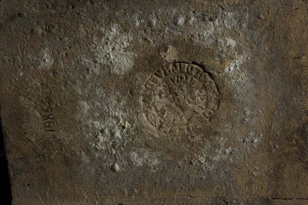Inv. 19856.TIF