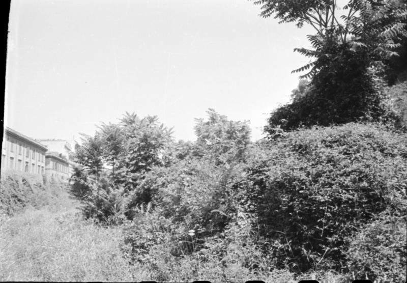 1-00013/ 07555/ 16783 - Roma - Palatino - Scalae Caci