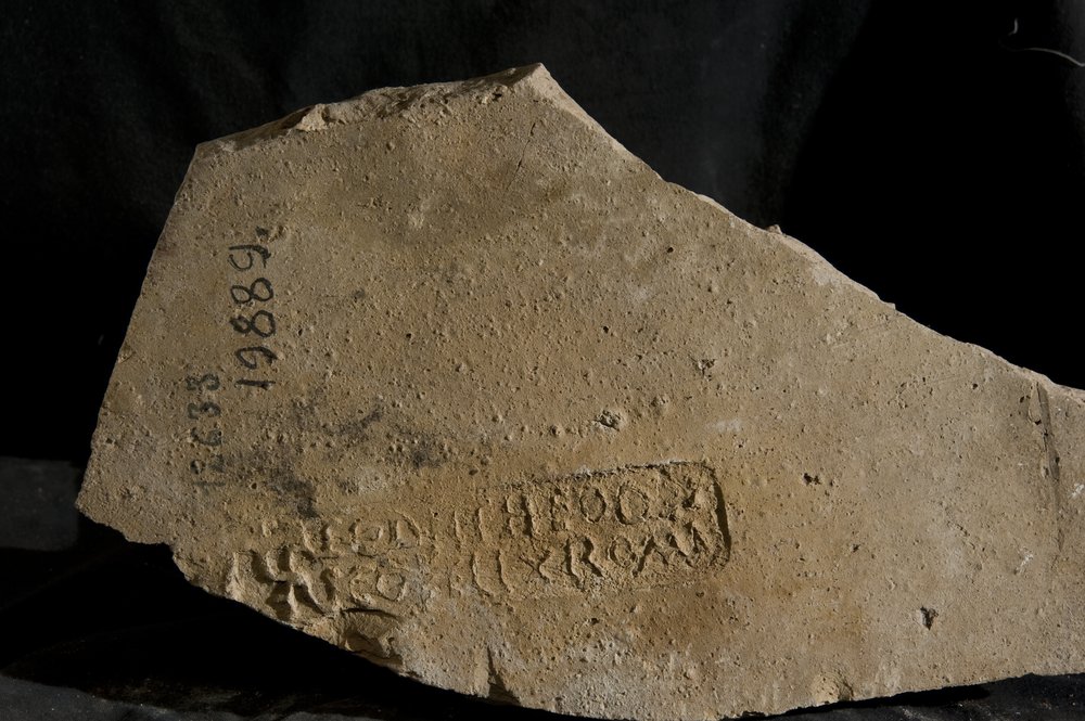 Inv. 19889.TIF