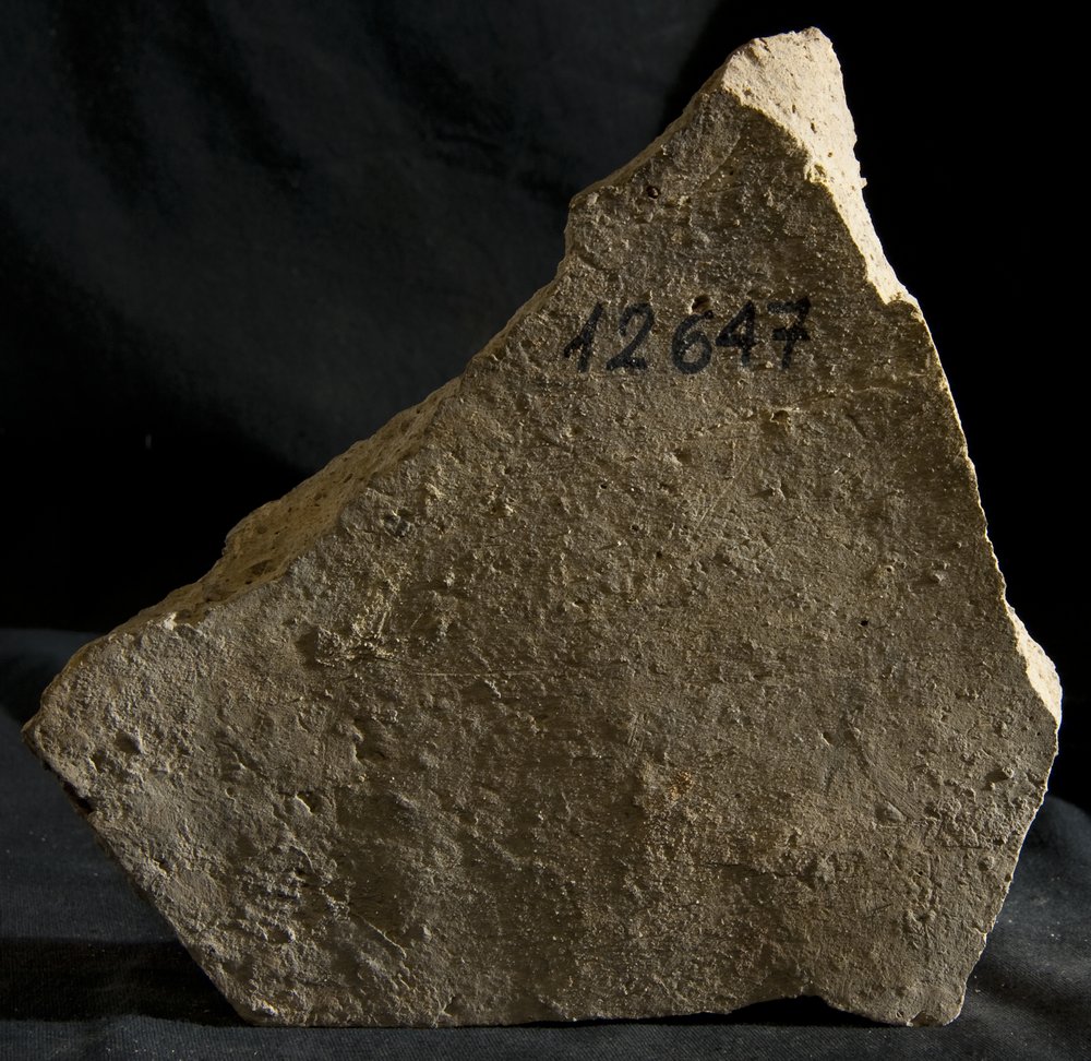 Inv.12647.TIF