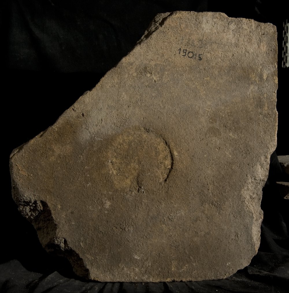 Inv. 19015.TIF
