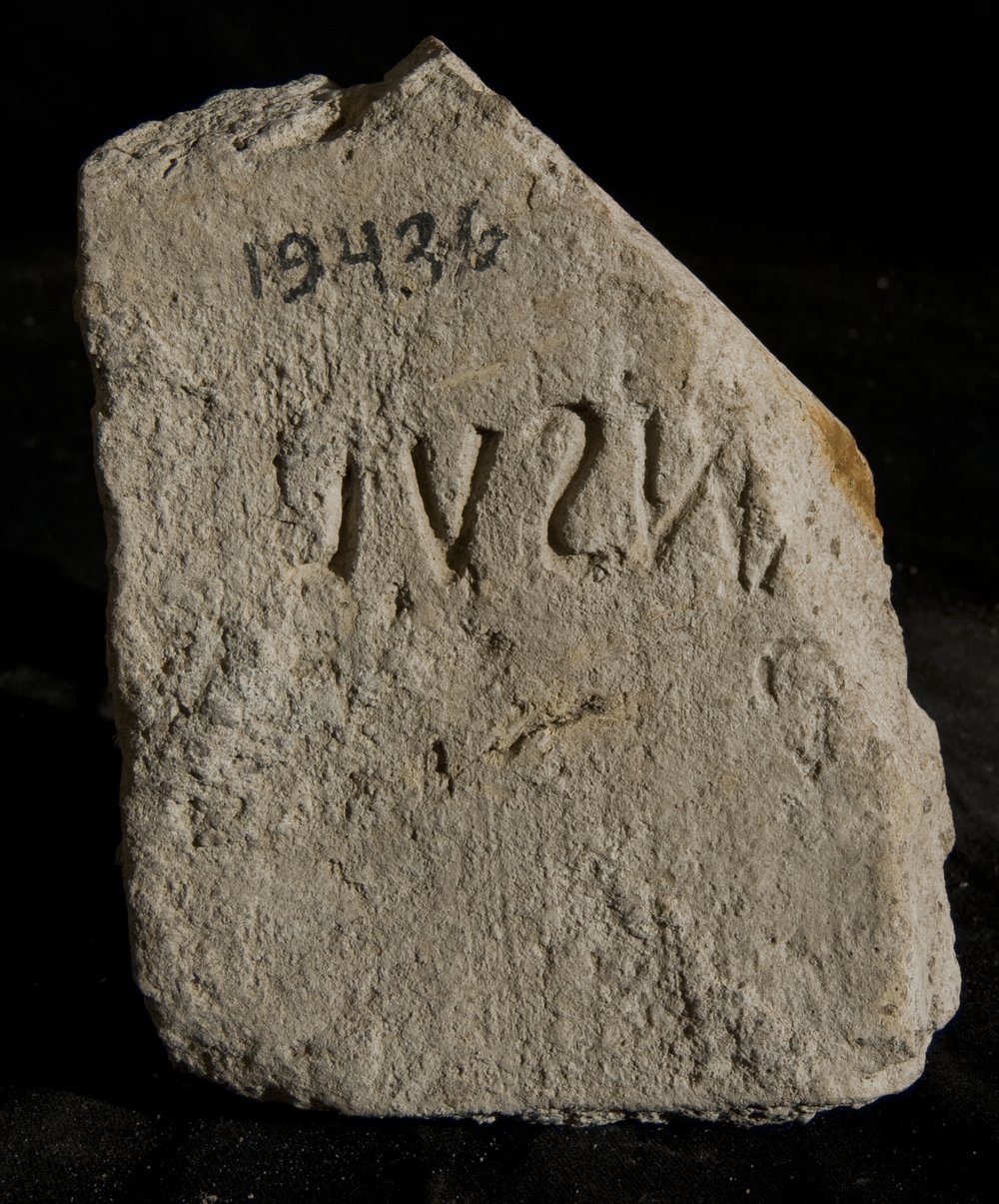 Inv. 19436.TIF