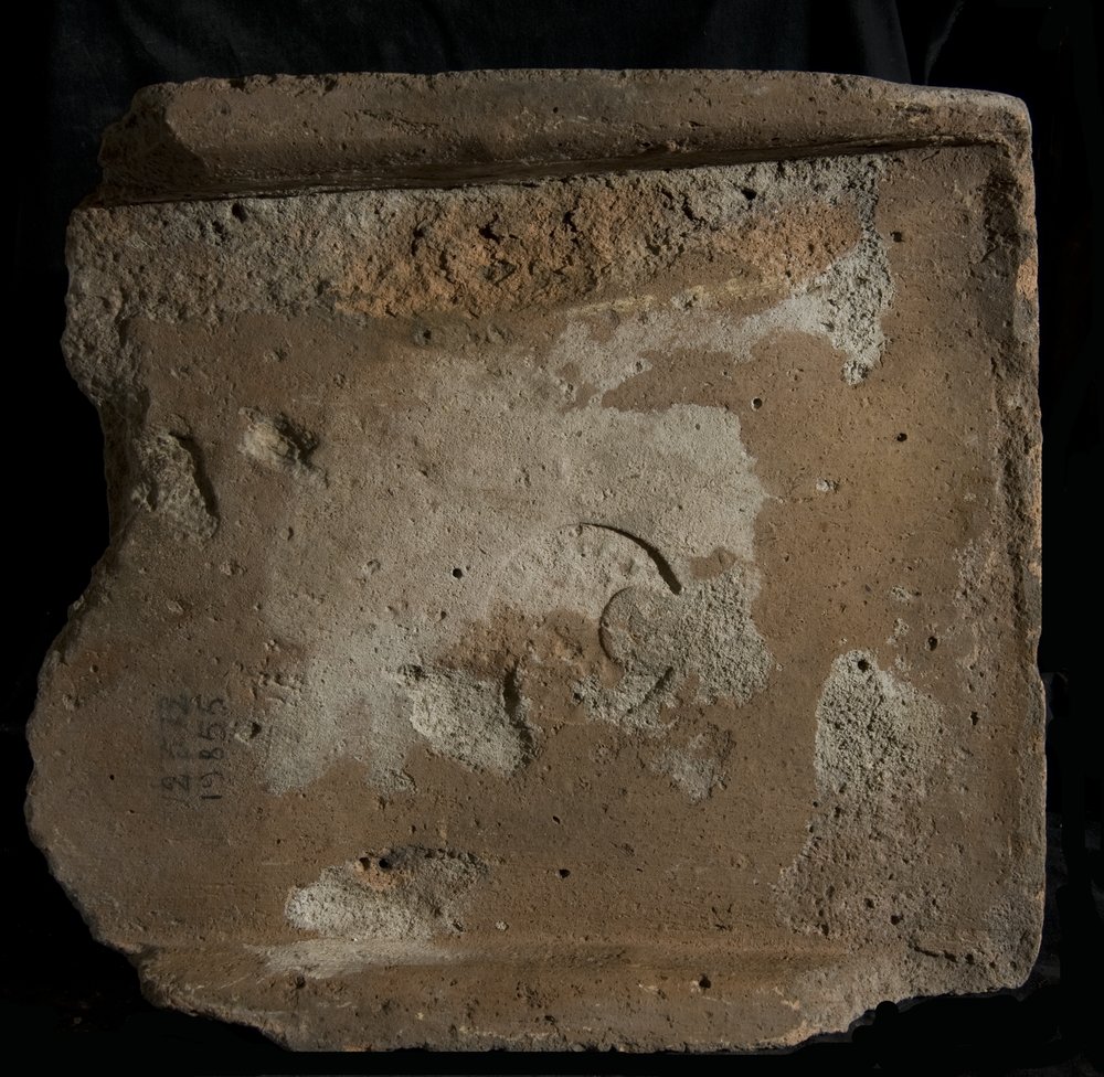 Inv. 19855.TIF