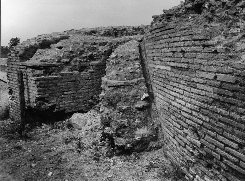 003701 - restauro - Domus Flavia, Basilica: lavori di restauro, 1981
