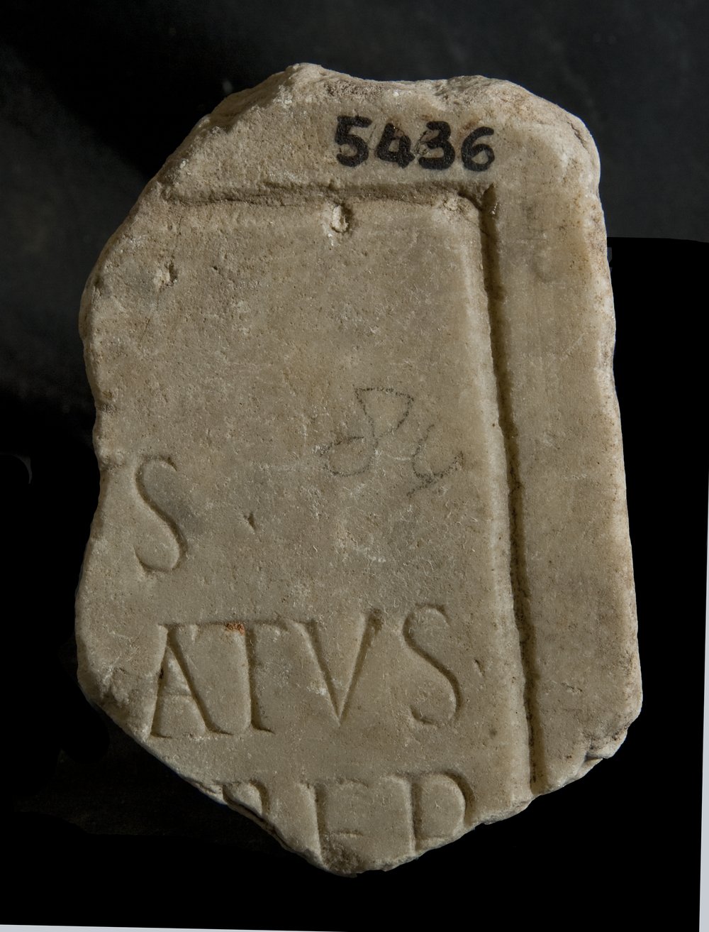 Inv.5436.TIF