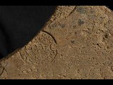 DSC_2171.NEF