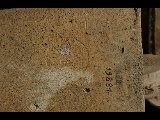 DSC_2140.NEF