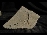 DSC_1173.NEF