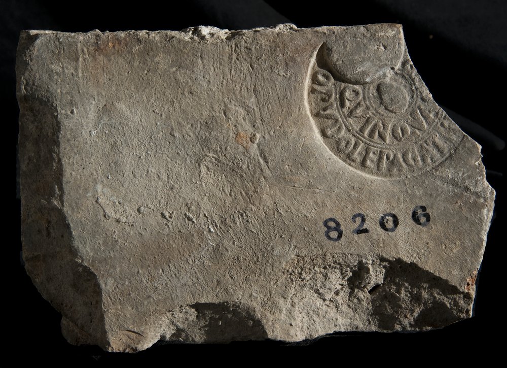 Inv. 8206.TIF