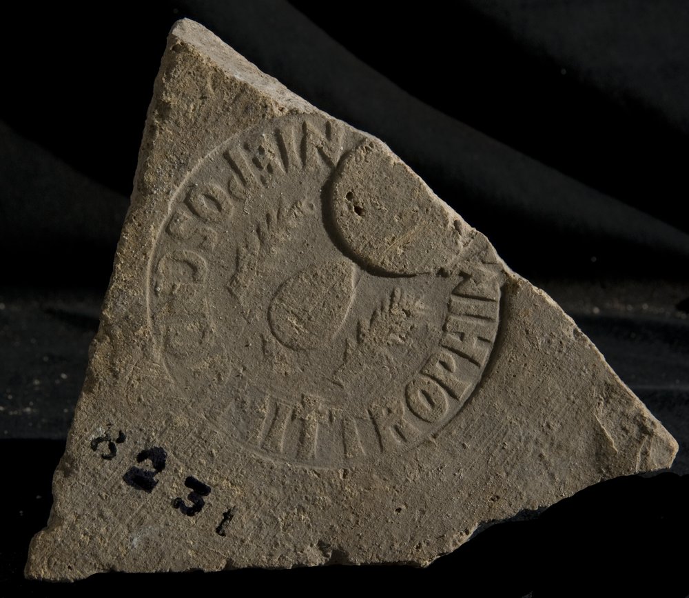 iNV. 8231.TIF